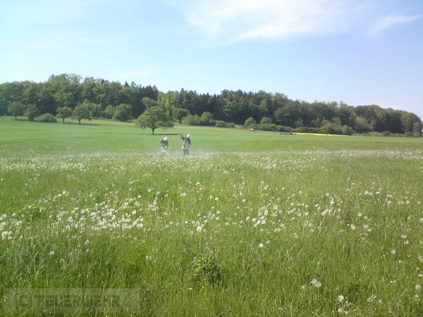 Brandeinsatz Brandeinsatz