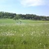 Brandeinsatz